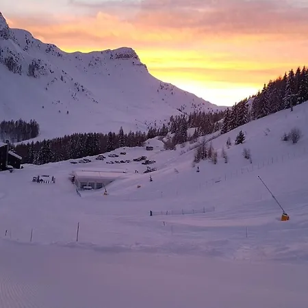 Casa Mowgli - Sussy فالكادي