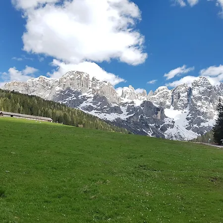 Casa Mowgli - Sussy * فالكادي