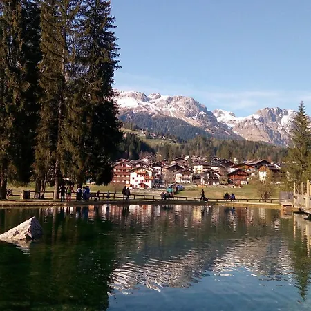 Casa Mowgli - Sussy * فالكادي